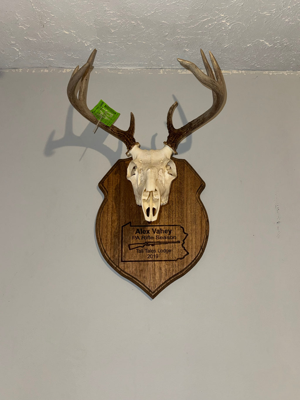 Custom European Mount Plaque