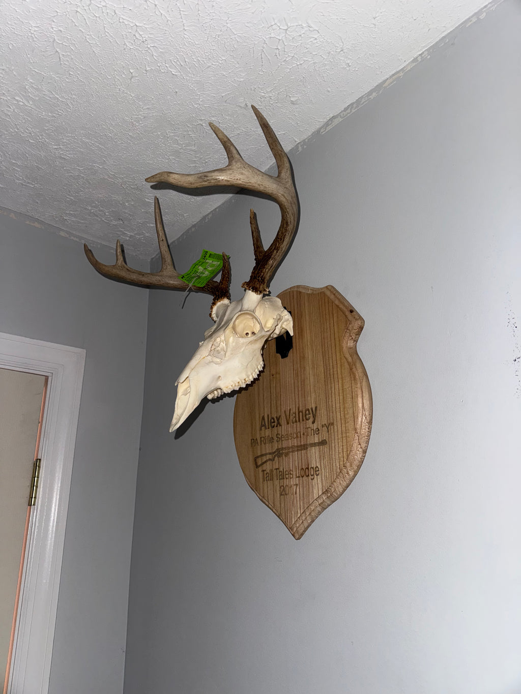 Custom European Mount Plaque