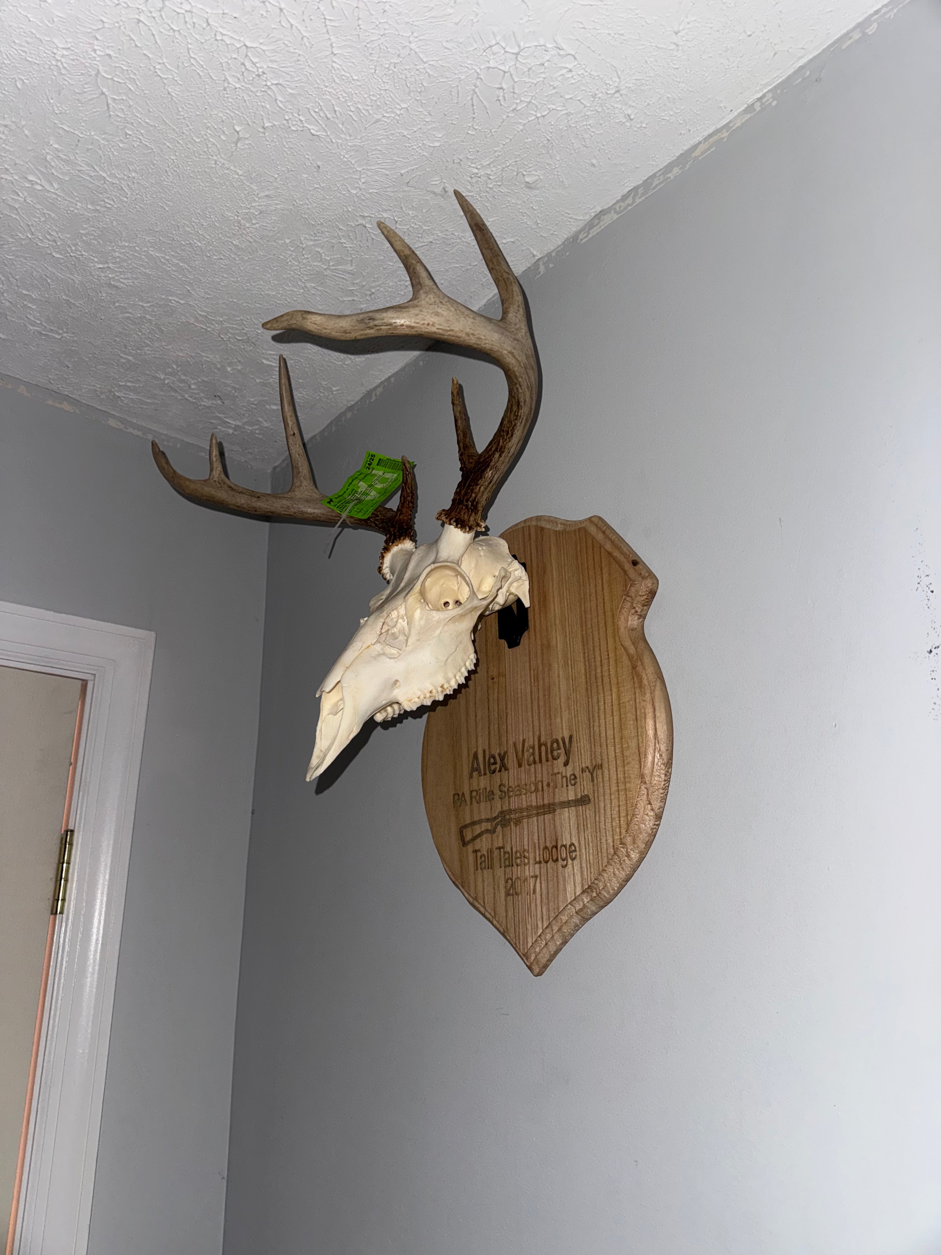 Custom European Mount Plaque